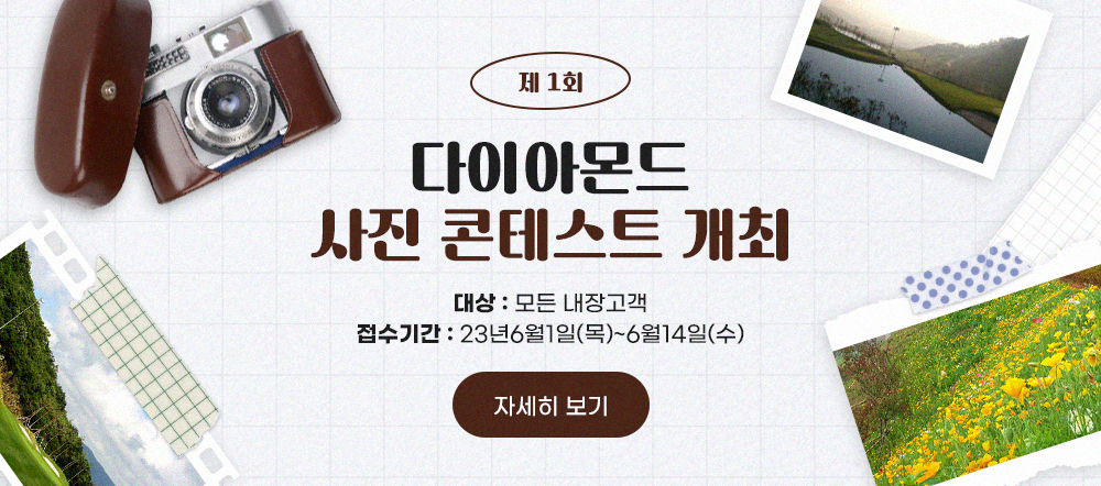 사진 콘테스트